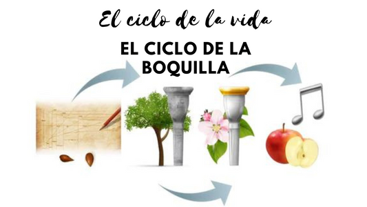 7. El ciclo de la boquilla