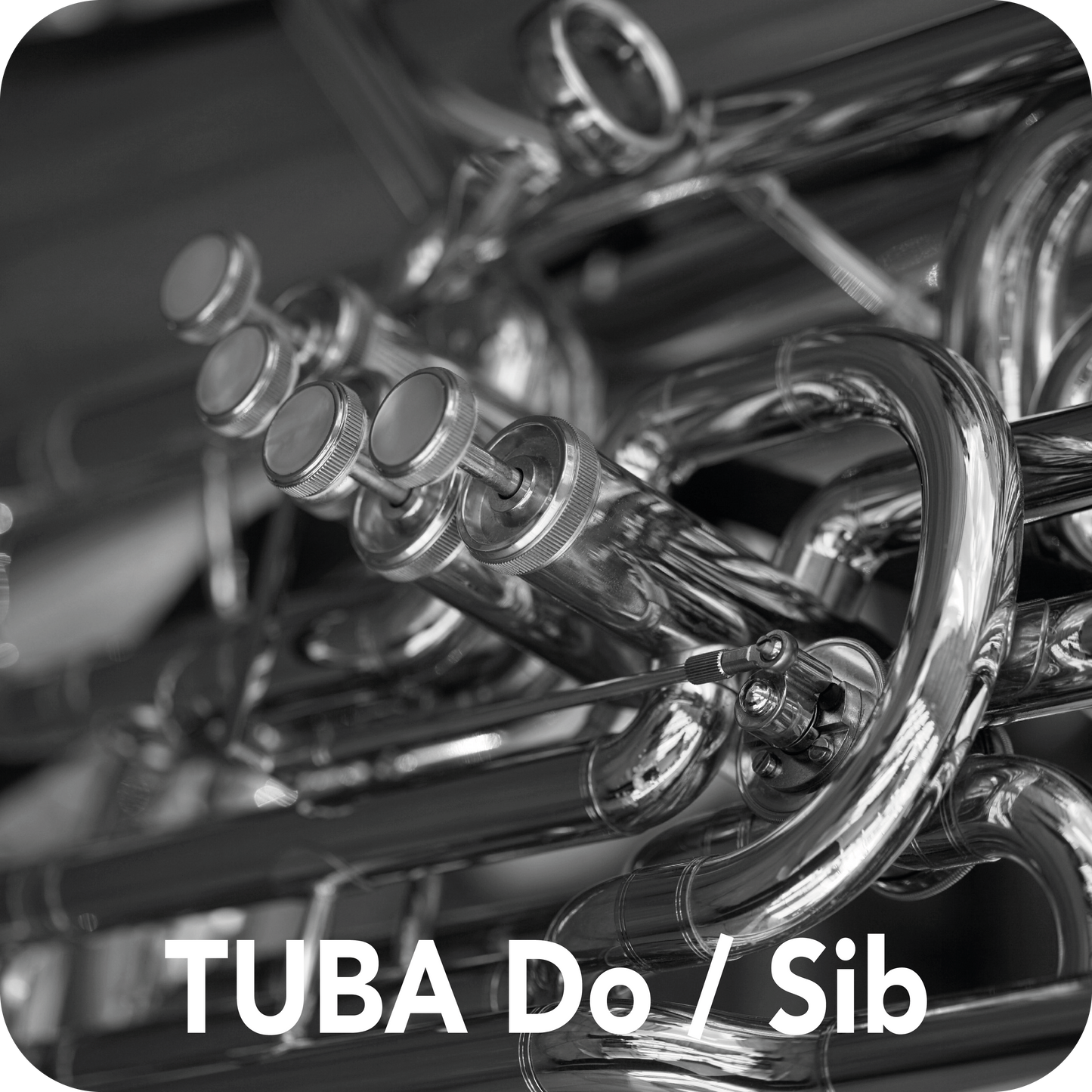 Boquillas de Tuba Do / Sib