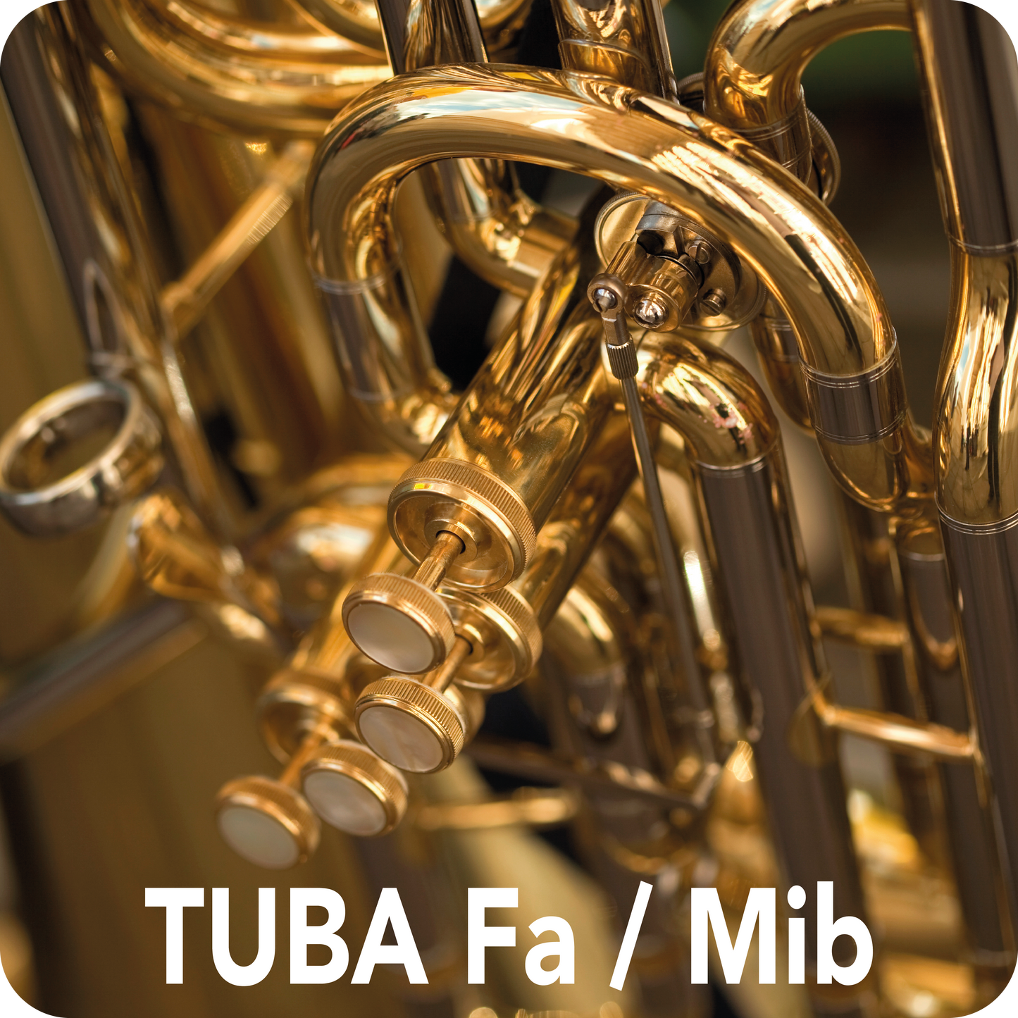 Tuba fa deals